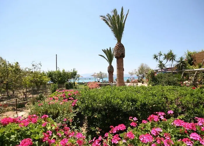 شقة فندقية Agnadi