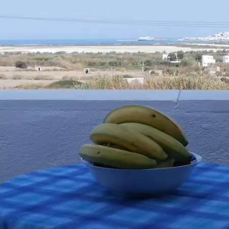 Agnadi Lägenhetshotell Agia Anna (Naxos)